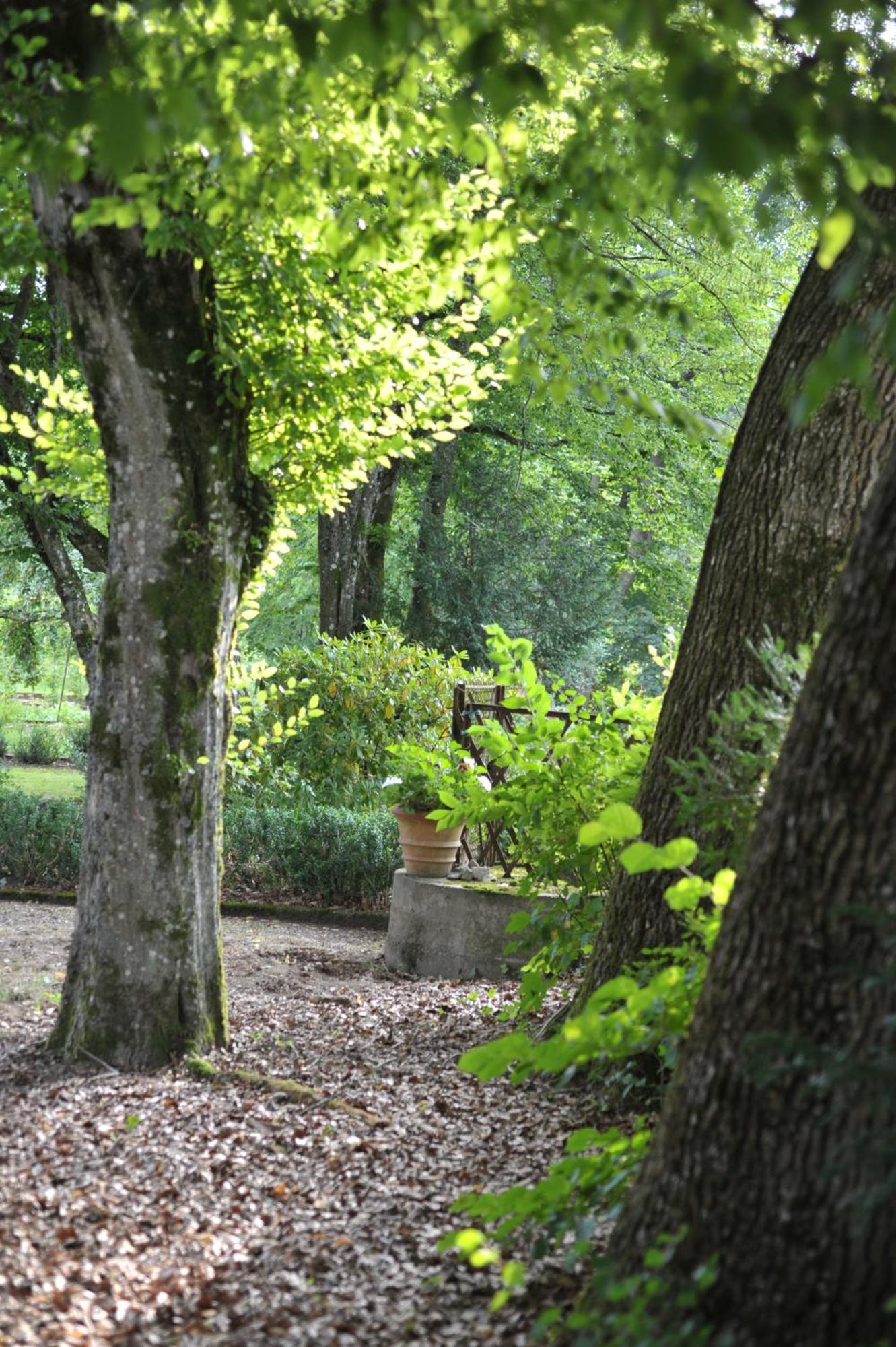 La Maison D'Hotes Du Parc Bed & Breakfast Ronchamp Exterior photo