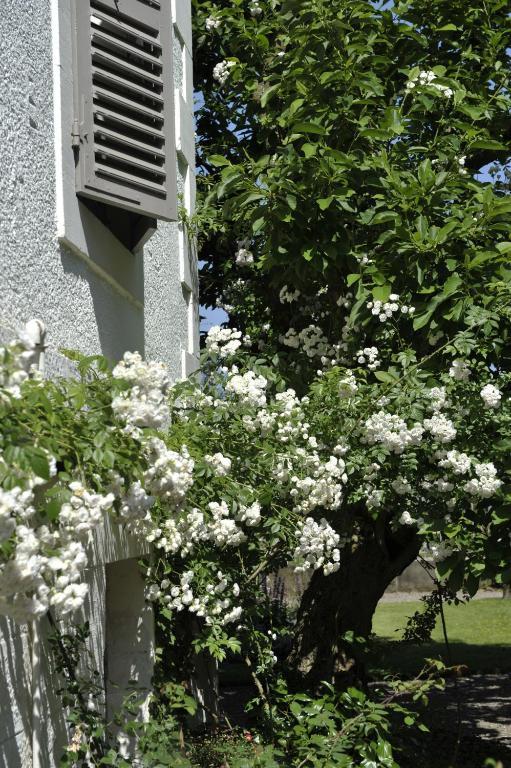 La Maison D'Hotes Du Parc Bed & Breakfast Ronchamp Exterior photo