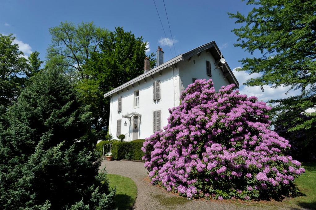 La Maison D'Hotes Du Parc Bed & Breakfast Ronchamp Exterior photo