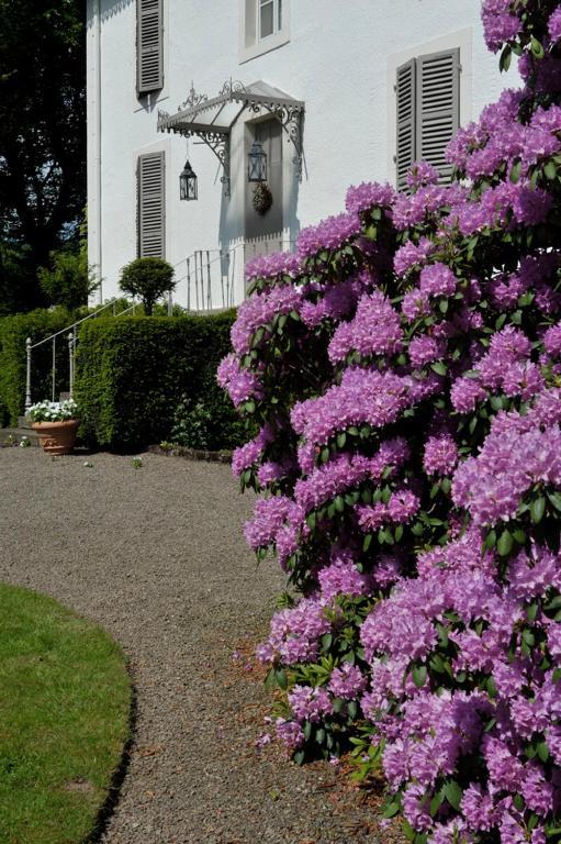 La Maison D'Hotes Du Parc Bed & Breakfast Ronchamp Exterior photo